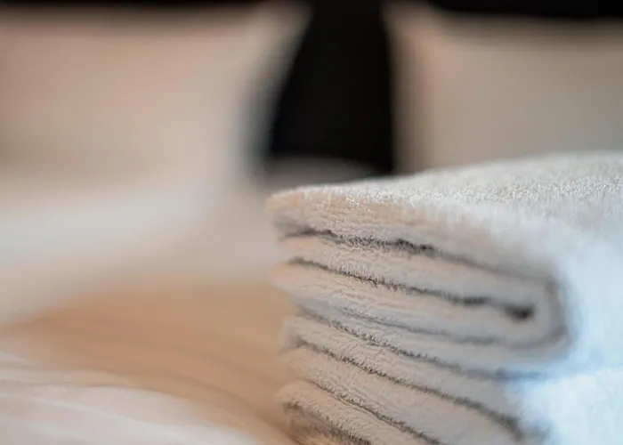 Wandery Dessau-Rosslau